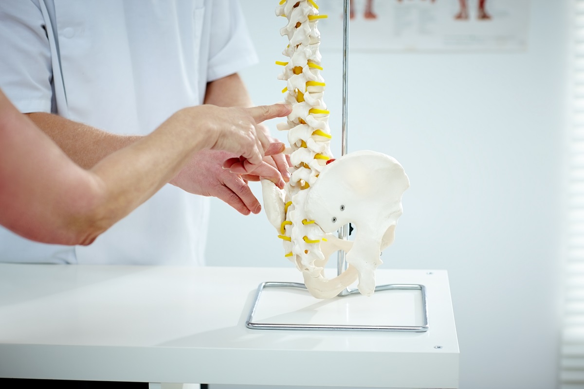 How Spine Paradise Can Help You - Chiropractor Miami, Gold Coast